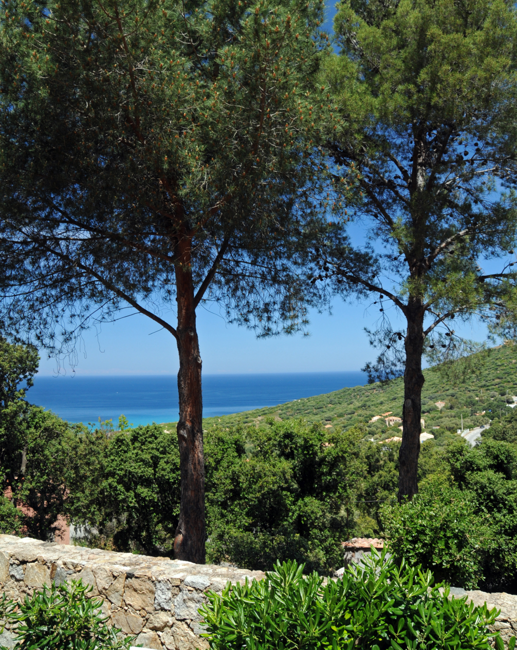 Location Corse Contactx2